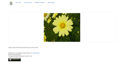 Desktop Screenshot of pelleys.com